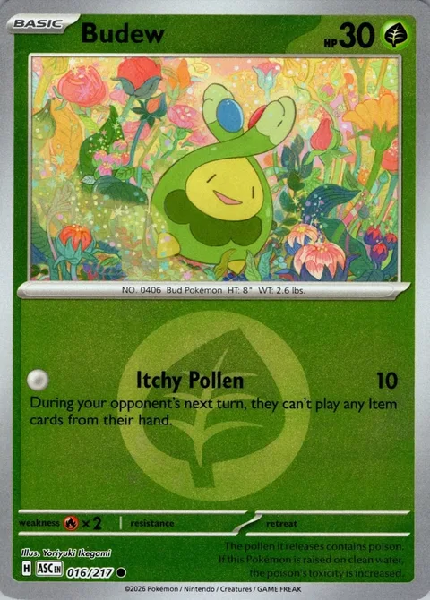 Budew [Itchy Pollen]