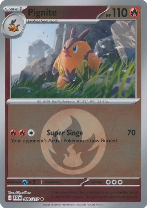 Pignite [Super Singe]