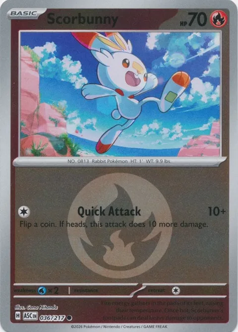 Scorbunny [Quick Attack]