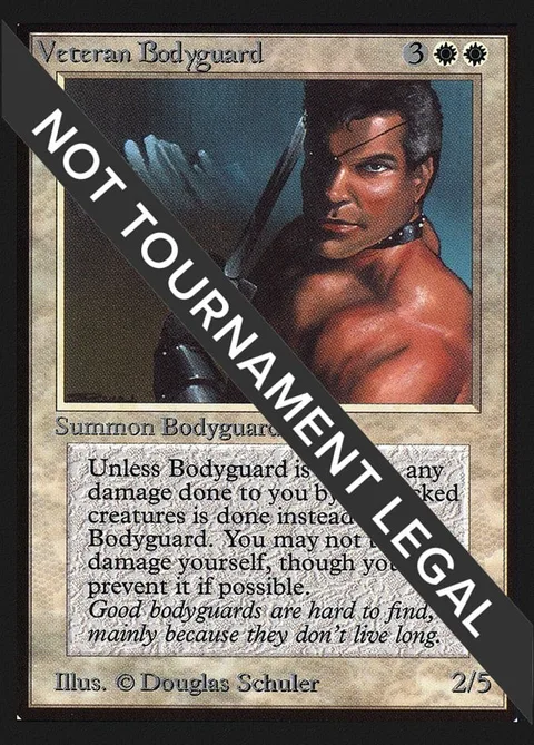 Veteran Bodyguard
