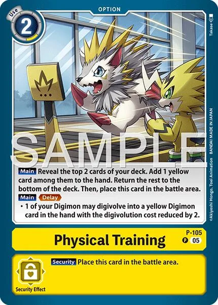 Physical Training (P-105)