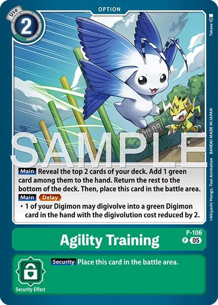 Agility Training (P-106)