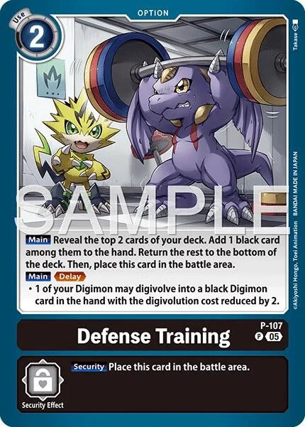 Defense Training (P-107)
