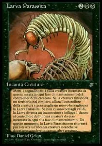 Takklemaggot