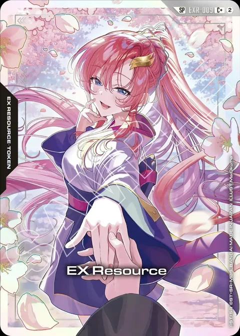 EX Resource (EXR-009)