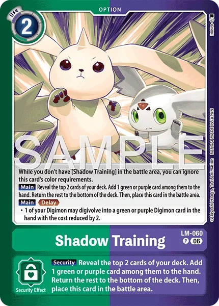 Shadow Training (LM-060)
