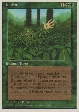 Kudzu