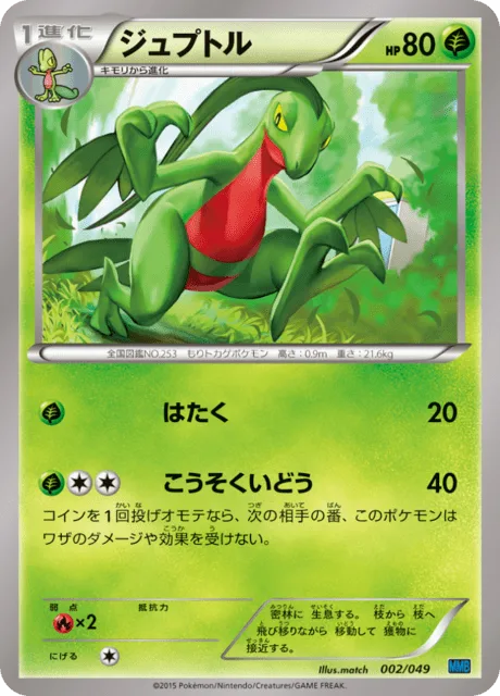 Grovyle [Pound | Agility]