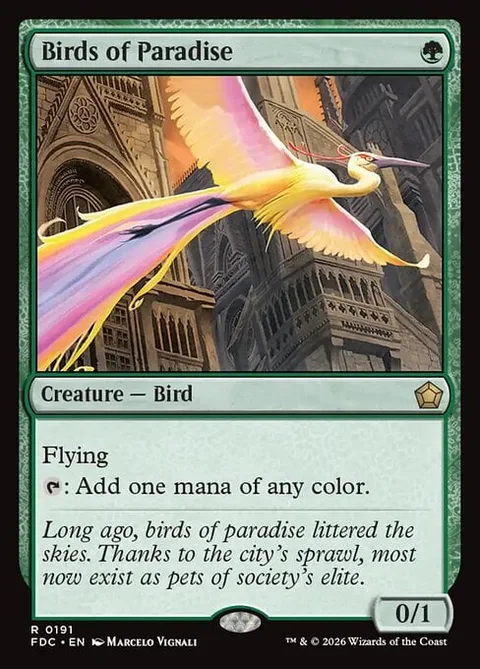 Birds of Paradise