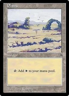 Plains