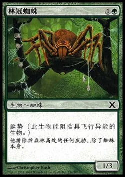 Canopy Spider