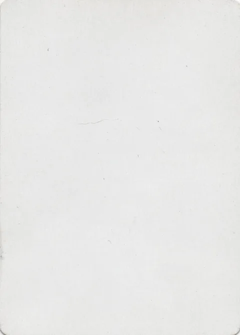 White/White Filler Card