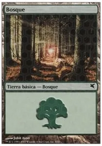 Forest
