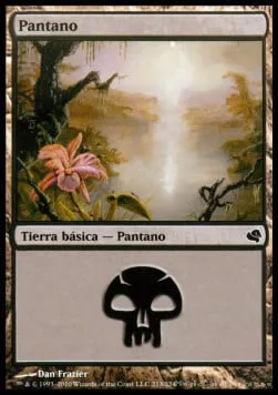 Swamp