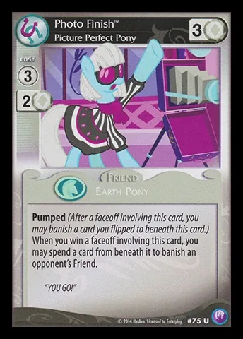 Photo Finish *Picture Perfect Pony*