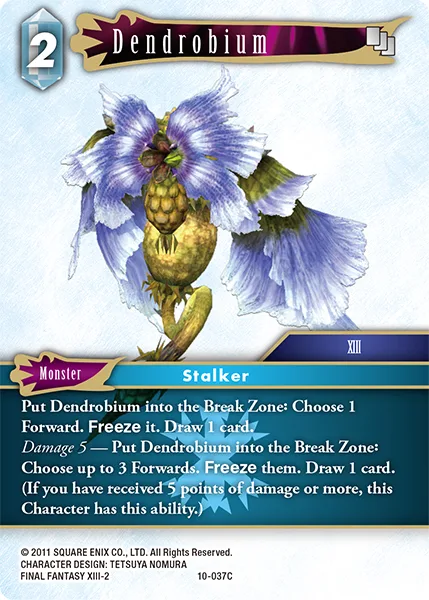 Dendrobium (10-037)