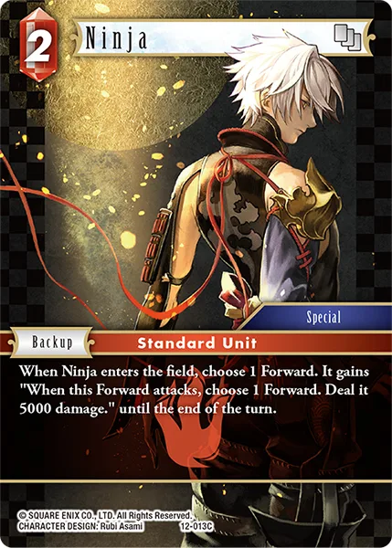 Ninja (12-013)