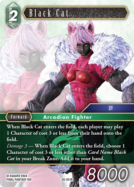 Black Cat (28-051)