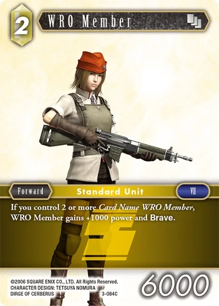 WRO Member (3-084)