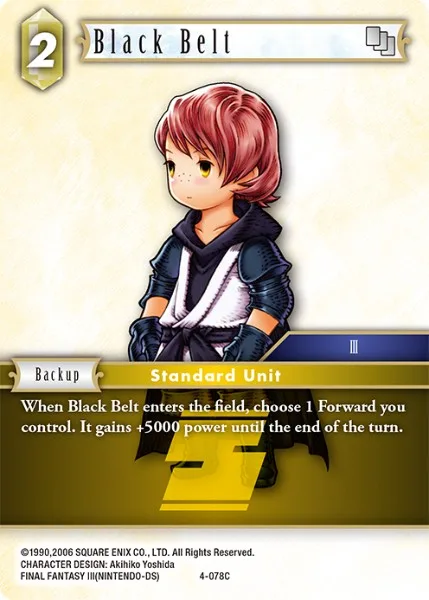 Black Belt (4-078)