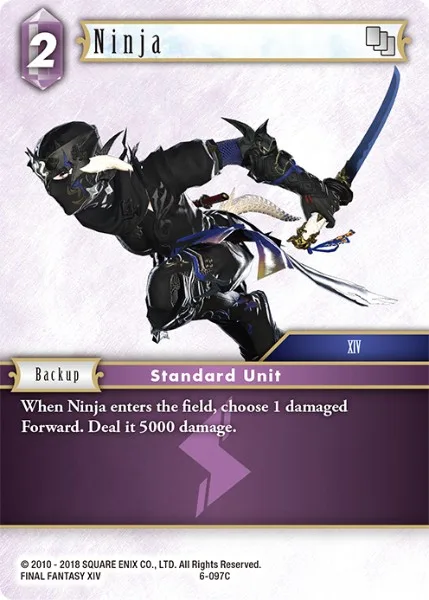Ninja (6-097)