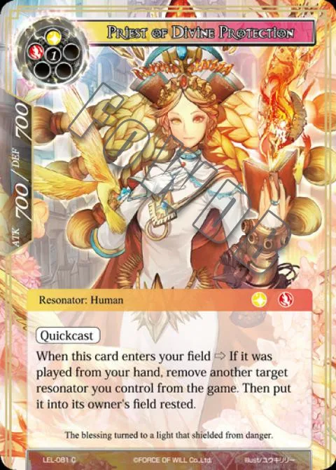 Priest of Divine Protection