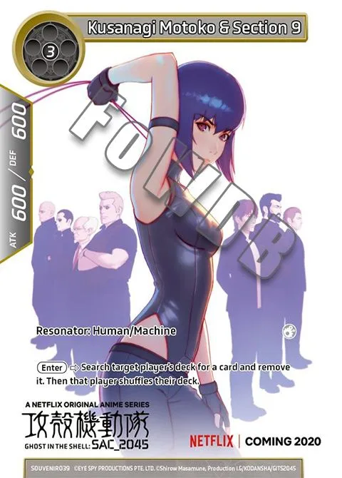 Kusanagi Motoko & Section 9