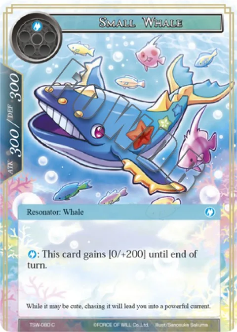 Small Whale