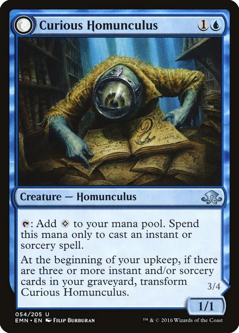Curious Homunculus / Voracious Reader – Vorderseite