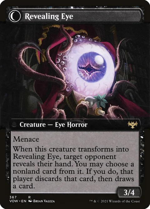 Concealing Curtains // Revealing Eye – Rückseite