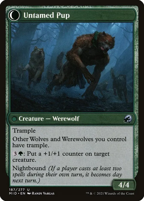 Hound Tamer // Untamed Pup – Rückseite