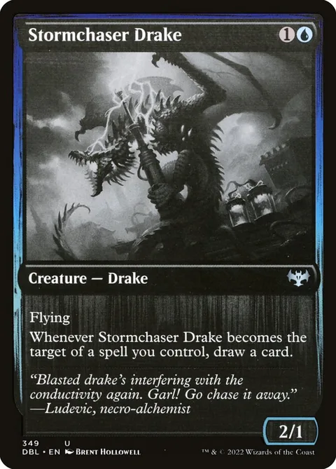 Stormchaser Drake