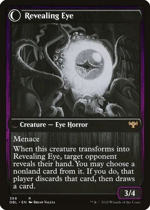Concealing Curtains // Revealing Eye – Rückseite