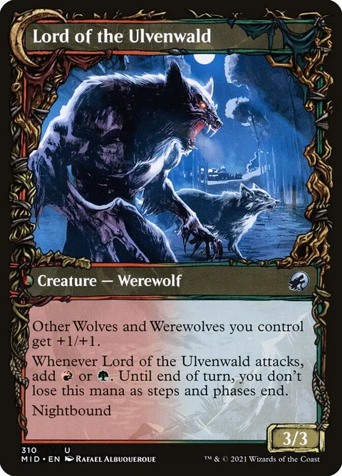 Kessig Naturalist // Lord of the Ulvenwald – Rückseite