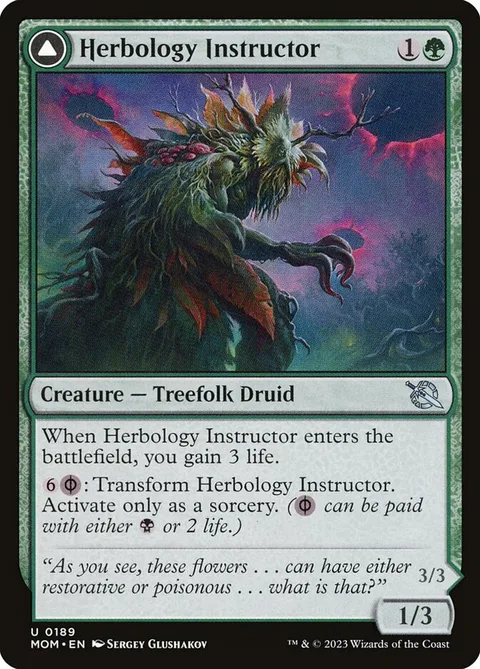 Herbology Instructor // Malady Invoker – Vorderseite