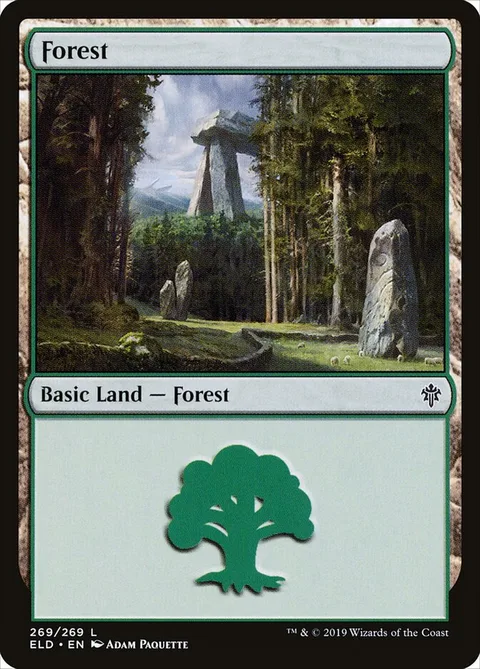 Forest