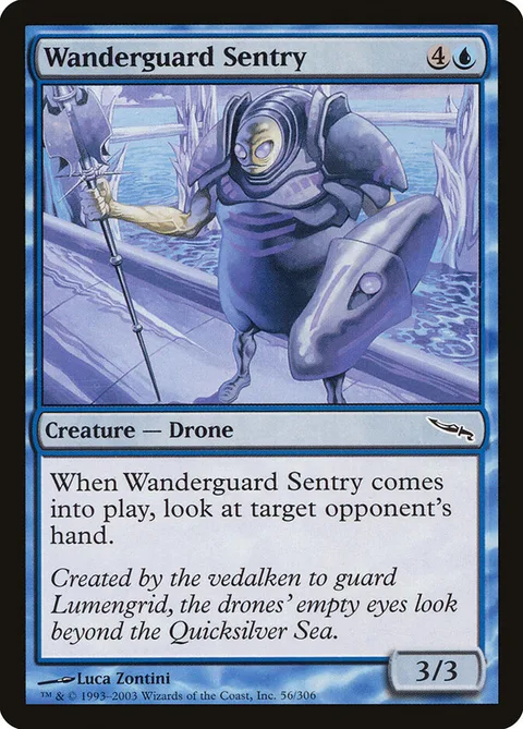 Wanderguard Sentry