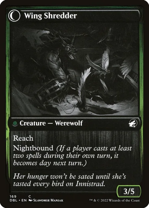 Bird Admirer // Wing Shredder – Rückseite