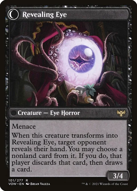 Concealing Curtains // Revealing Eye – Rückseite