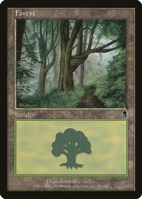 Forest