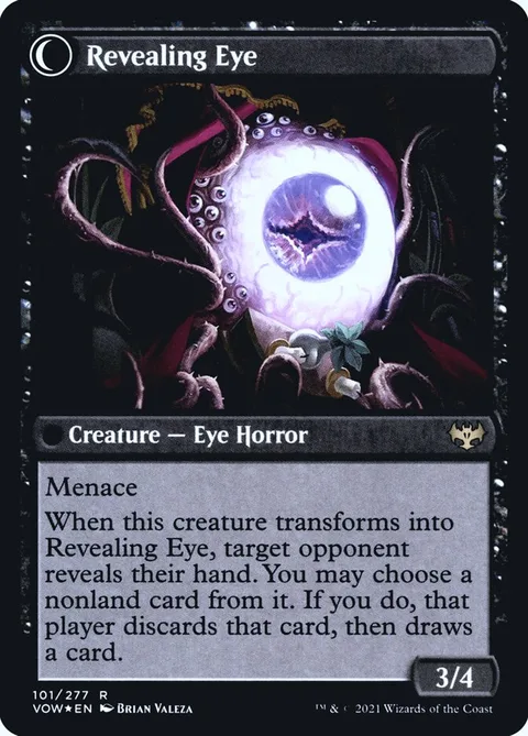 Concealing Curtains // Revealing Eye – Rückseite
