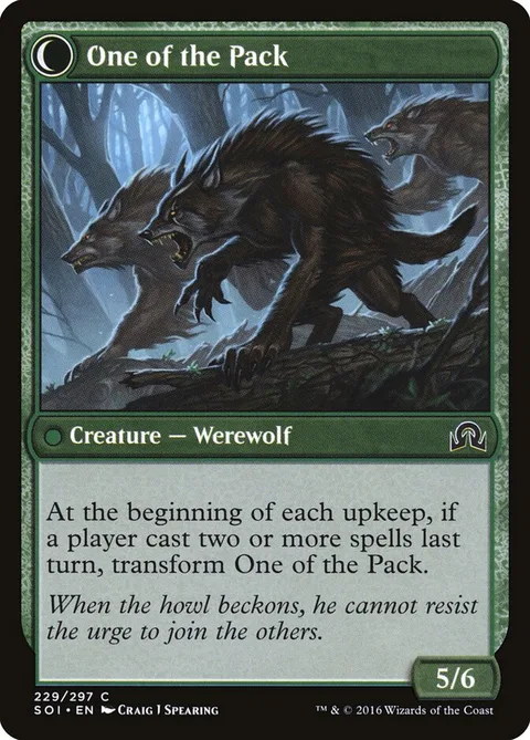 Solitary Hunter / One of the Pack – Rückseite