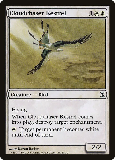 Cloudchaser Kestrel