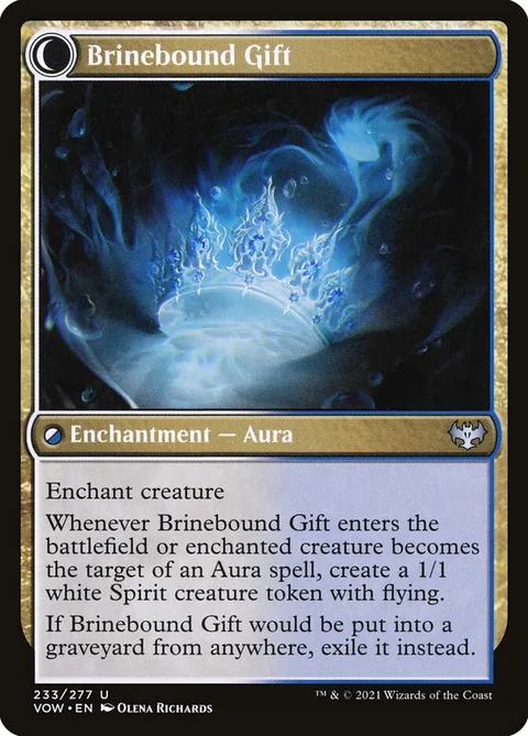 Brine Comber // Brinebound Gift – Rückseite