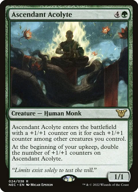 Ascendant Acolyte