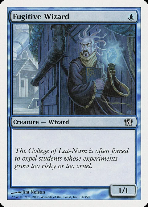 Fugitive Wizard