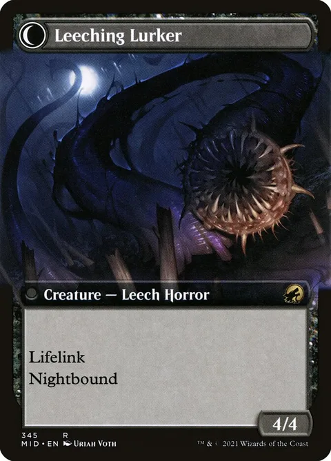 Curse of Leeches // Leeching Lurker – Rückseite
