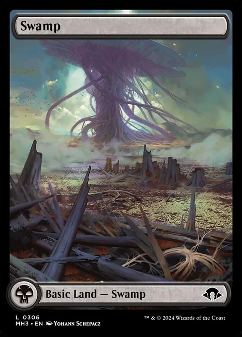 Swamp