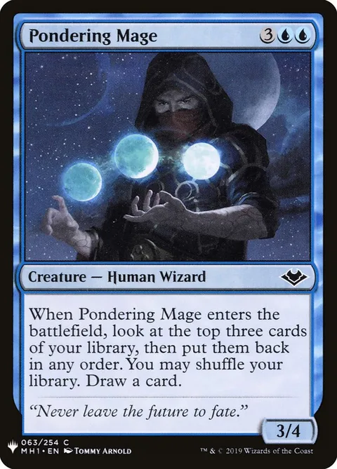 Pondering Mage