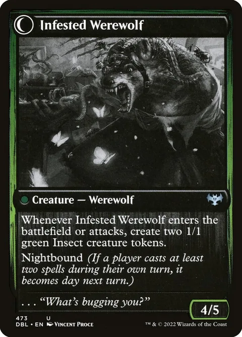 Infestation Expert // Infested Werewolf – 裏面